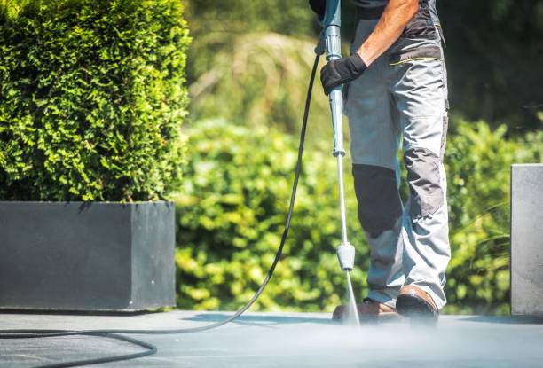 Best Building Exterior Washing  in Valley Springs, CA