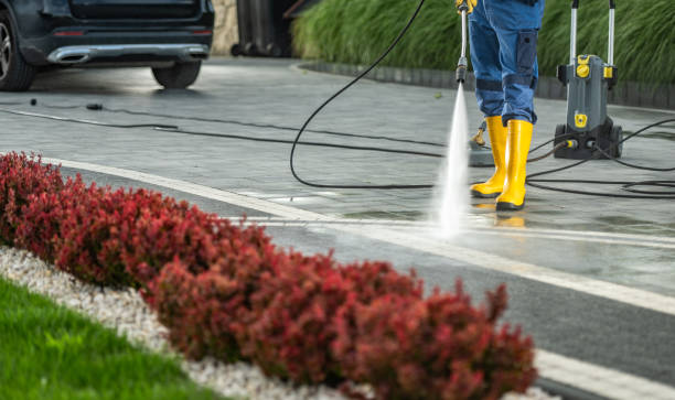 Best Solar Panel Cleaning  in Valley Springs, CA